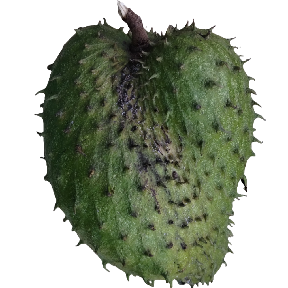 Mermelada de Guanábana (Soursop)