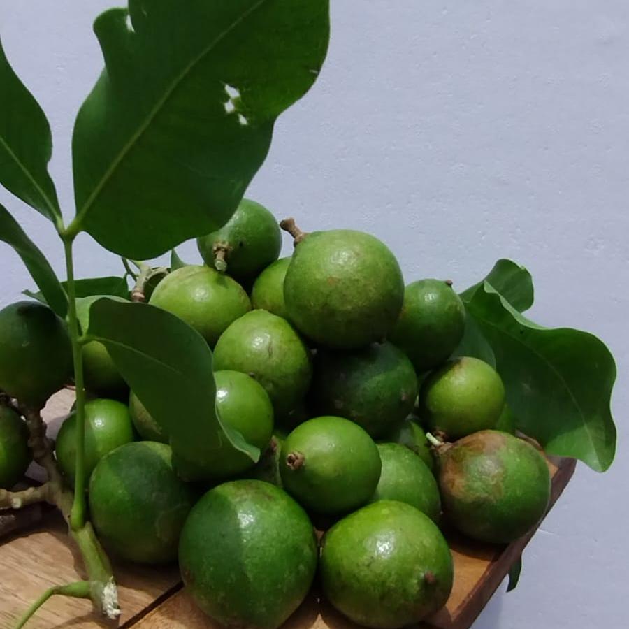 Mermelada de Quenepa (Spanish Lime)