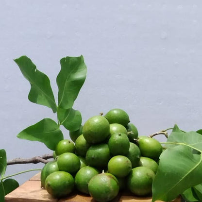 Mermelada de Quenepa (Spanish Lime)