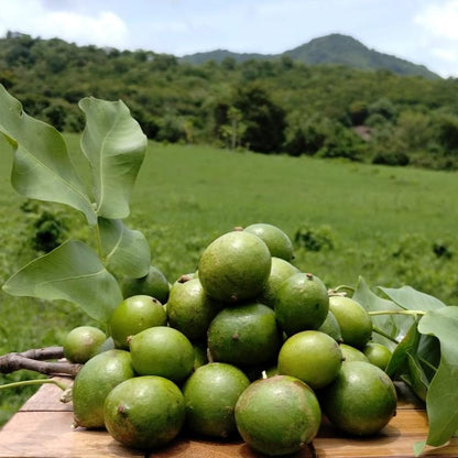 Mermelada de Quenepa (Spanish Lime)