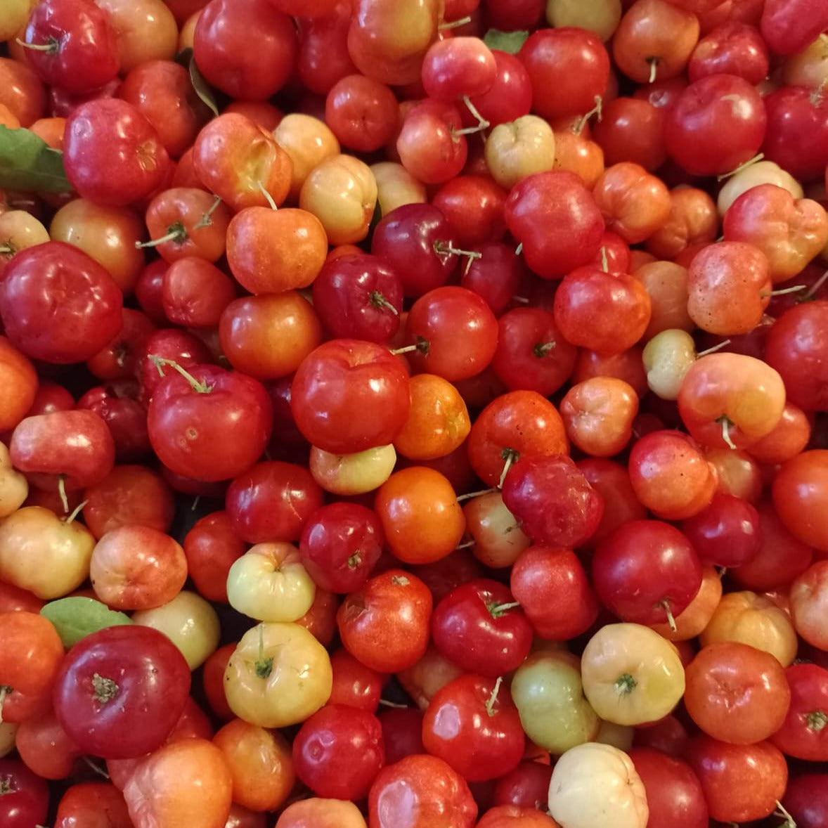 Mermelada de Acerola (Hawthorn Berry)