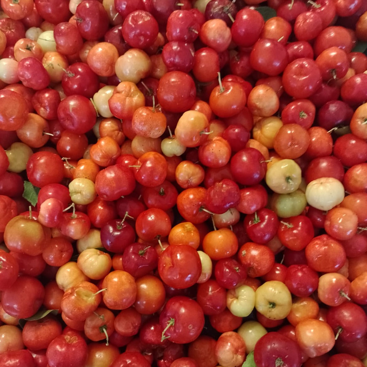 Mermelada de Acerola (Hawthorn Berry)