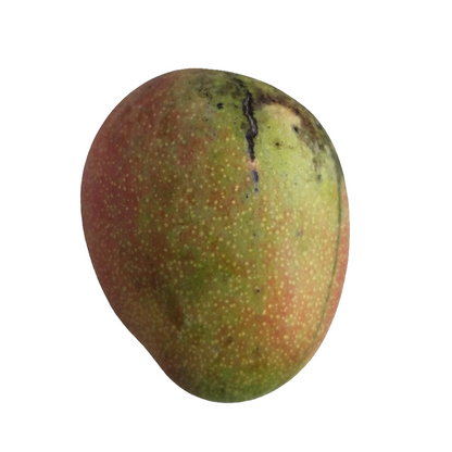 Mermelada de Mangó (Mango)