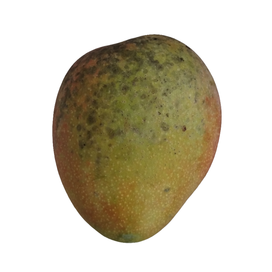 Mermelada de Mangó (Mango)