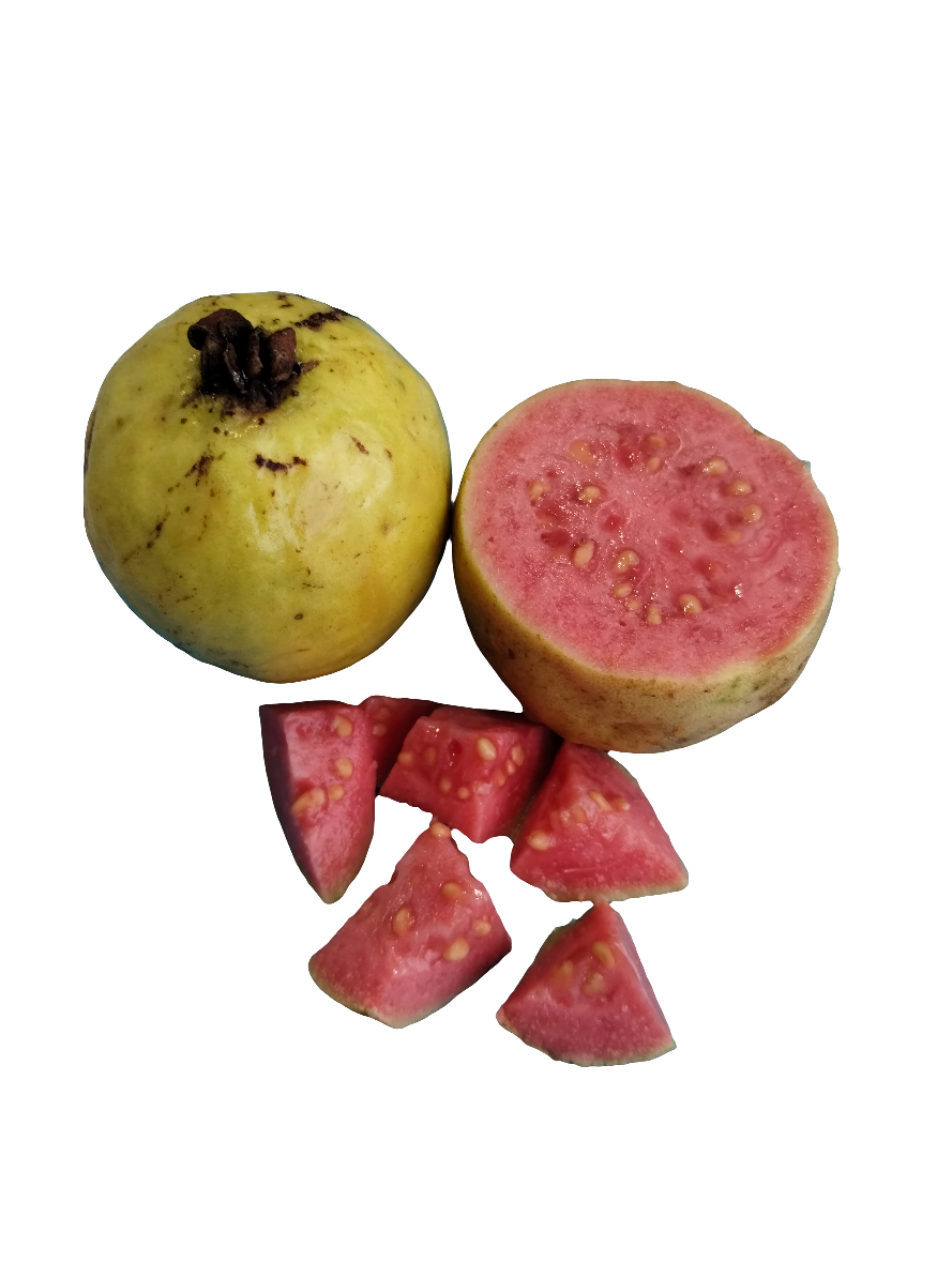 Mermelada de Guayaba (Guava)