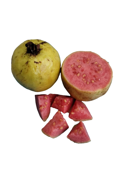 Mermelada de Guayaba (Guava)