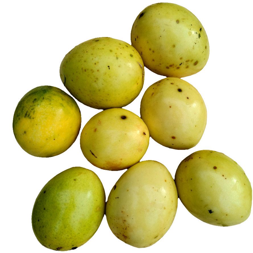 Mermelada de Parcha (Passion Fruit)