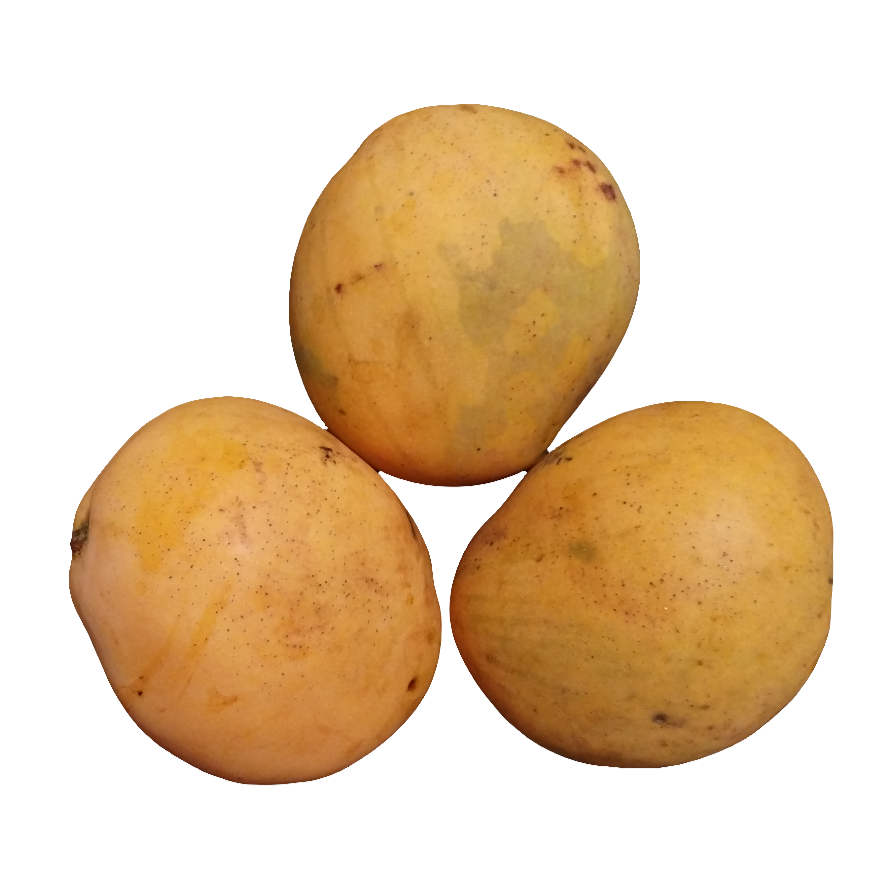 Mermelada de Mangó (Mango)