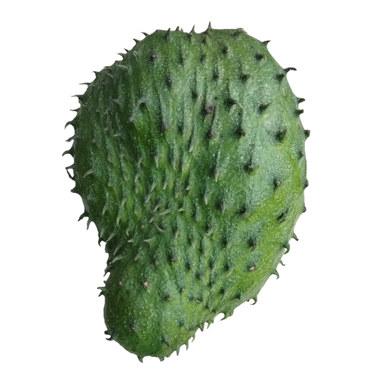 Mermelada de Guanábana (Soursop)