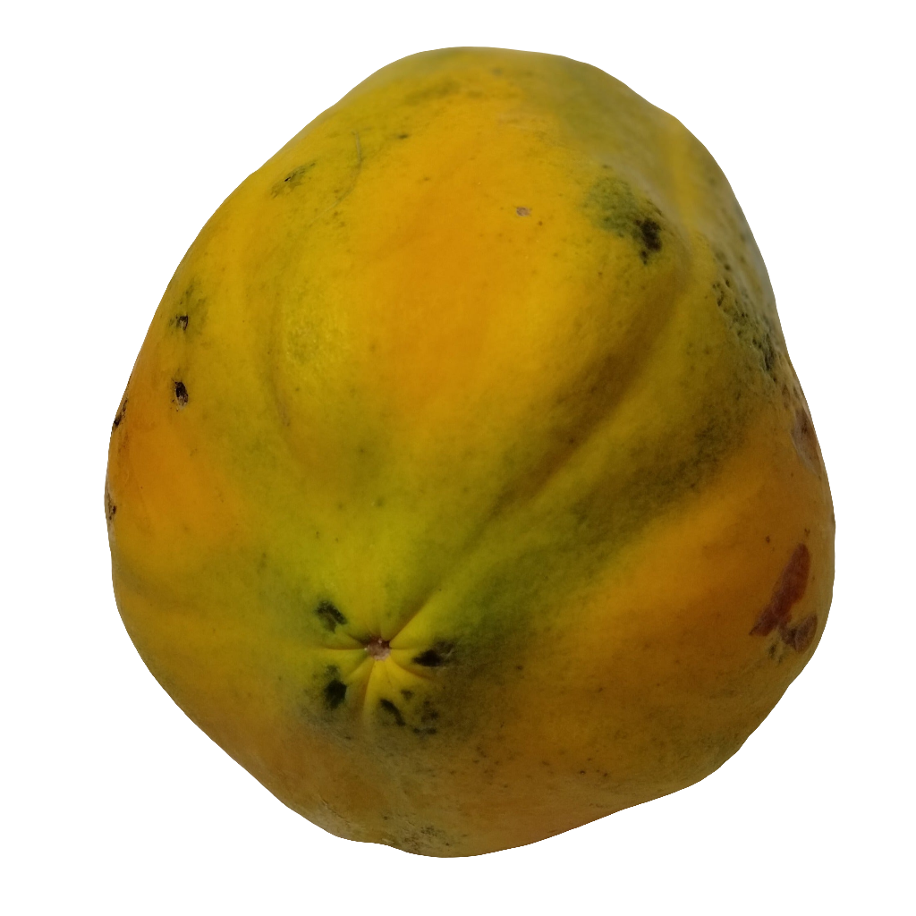 Mermelada de Papaya (Lechosa)