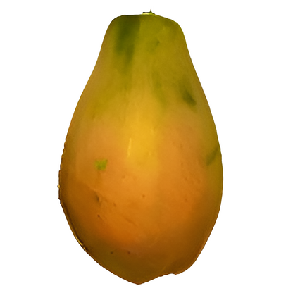 Mermelada de Papaya (Lechosa)