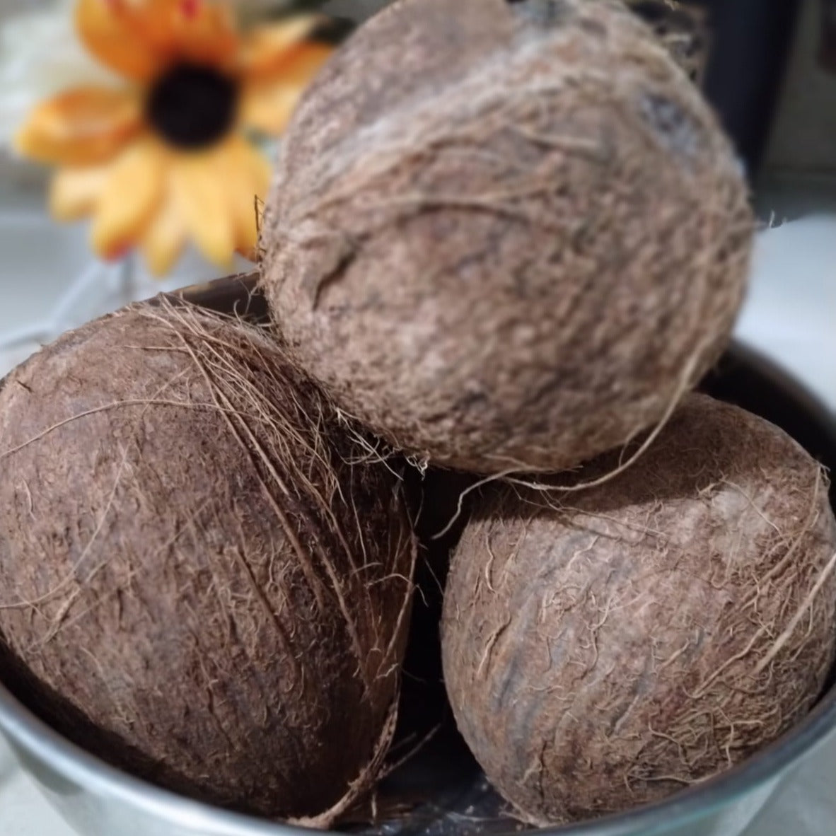 Mermelada de Coco (Coco Nut)