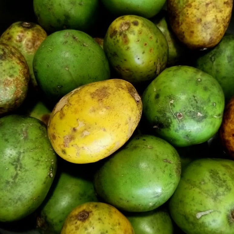 Mermelada de Jobos (June Plum)