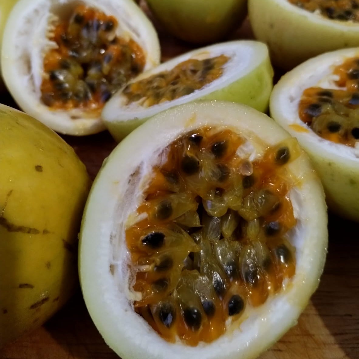 Mermelada de Parcha (Passion Fruit)