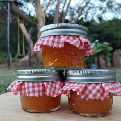 Mermelada de Papaya (Lechosa)