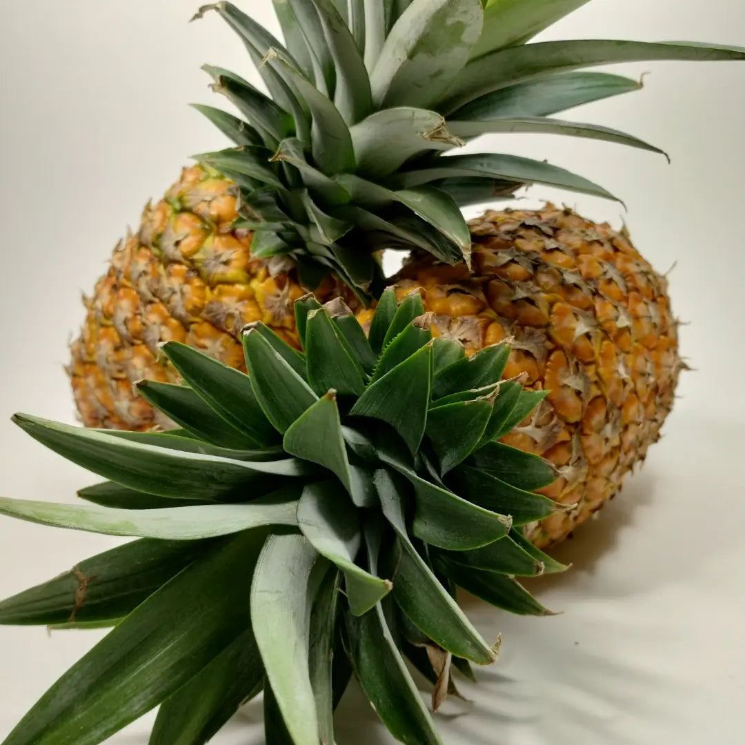 Mermelada de Piña (Pineapple)