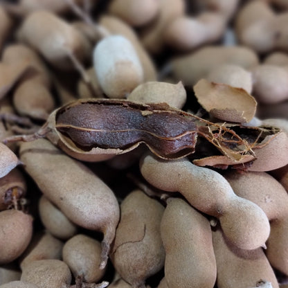 Mermelada de Tamarindo (Tamarind)