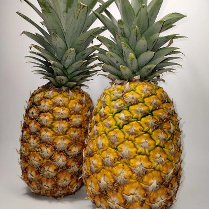 Mermelada de Piña (Pineapple)